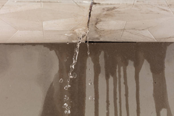 Professional Flood Damage Cleanup technician working in West Olive, MI